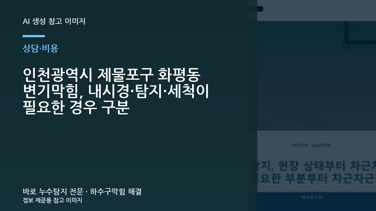 인천광역시 제물포구 화평동 변기막힘, 내시경·탐지·세척이 필요한 경우 구분