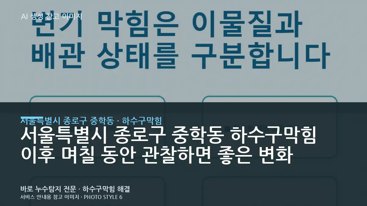 서울특별시 종로구 중학동 하수구막힘 이후 며칠 동안 관찰하면 좋은 변화